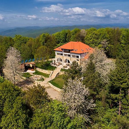 Hotel Cetatuia à Măgura Extérieur photo