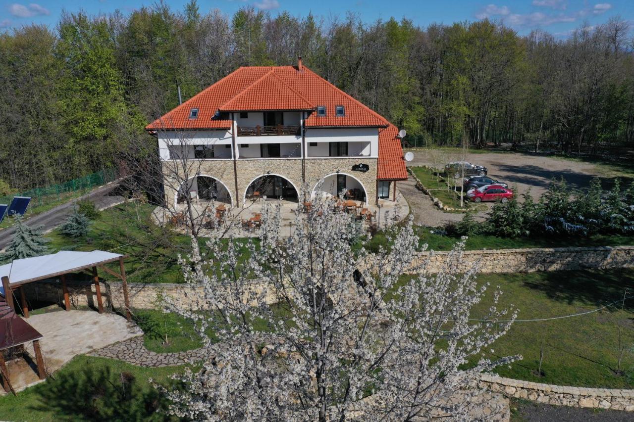 Hotel Cetatuia à Măgura Extérieur photo