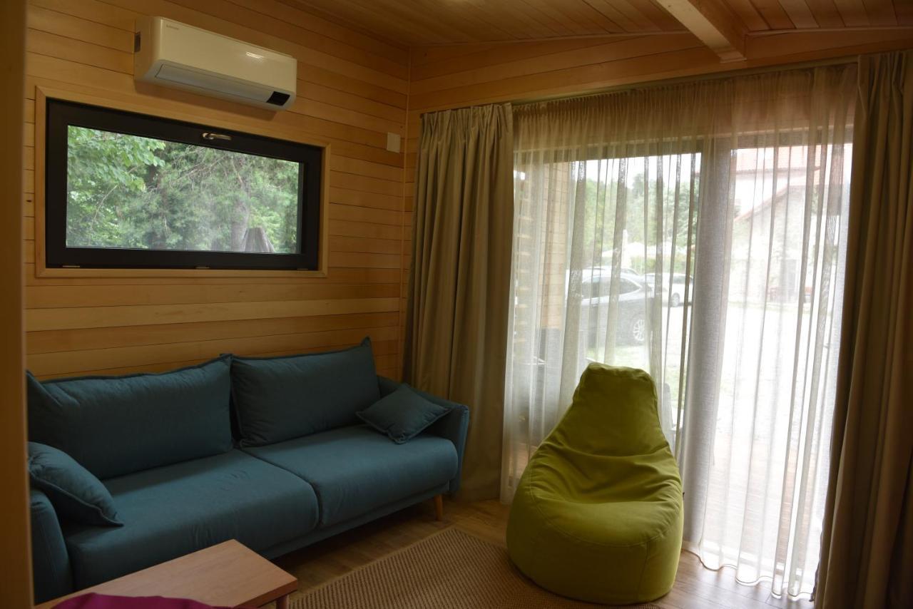 Hotel Cetatuia à Măgura Extérieur photo