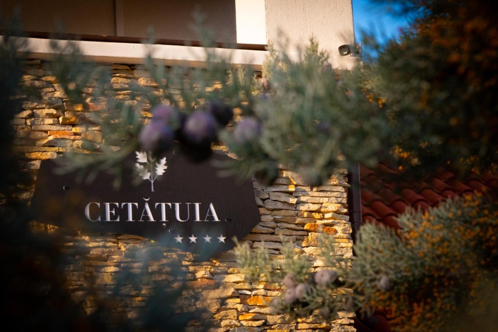 Hotel Cetatuia à Măgura Extérieur photo