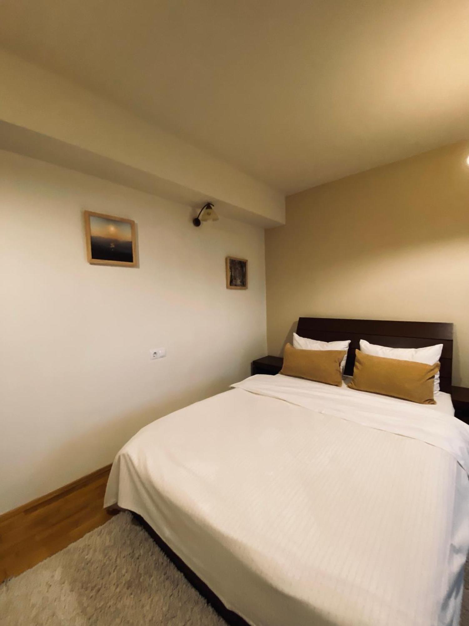 Hotel Cetatuia à Măgura Extérieur photo