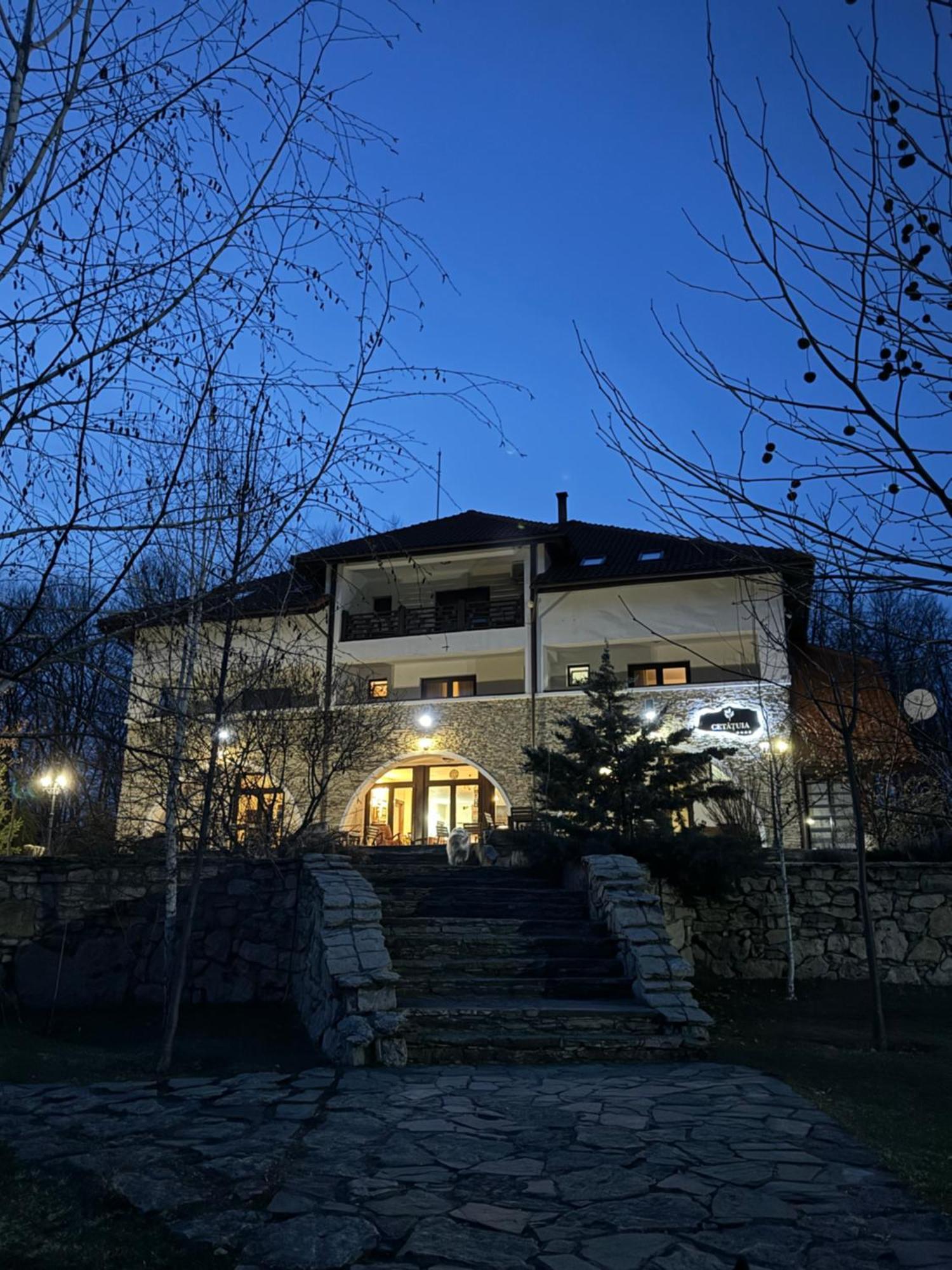 Hotel Cetatuia à Măgura Extérieur photo